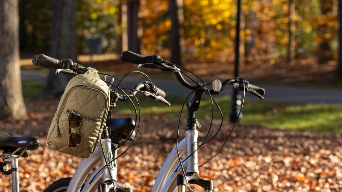 Bicycle Riding